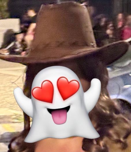 Cowboy hat brown