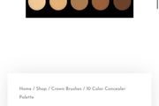 Blank Canvas Cosmetics 10 Color concealer palette and brush