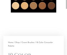 Blank Canvas Cosmetics 10 Color concealer palette and brush