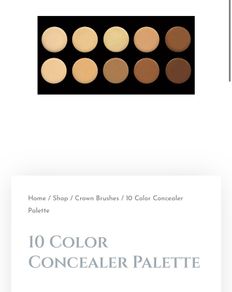 Blank Canvas Cosmetics 10 Color concealer palette and brush