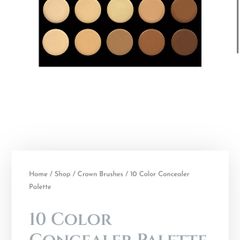 Blank Canvas Cosmetics 10 Color concealer palette and brush