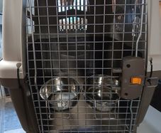 dog carrier airline rated