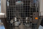 dog travel crate