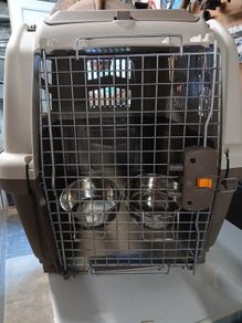dog travel crate