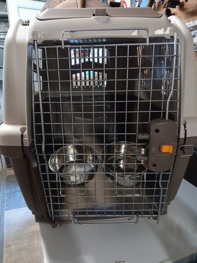 dog travel crate