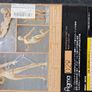 Figma Action figure Image 4