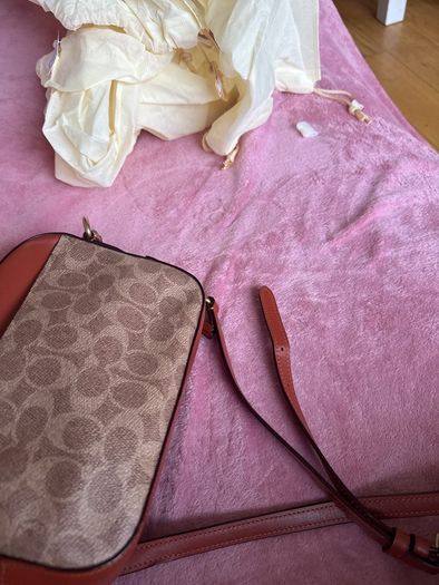 Coach camera bag