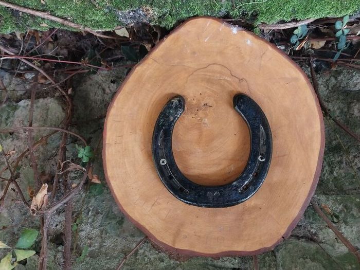 Lucky Horse Shoe