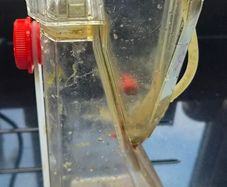 Bubble Magus Z Series Skimmer