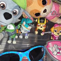 paw patrol bundle