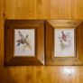 Lithograph Prints  x 2 By J Goulde & H C Richter. Walter Imp  I'll. Image 7