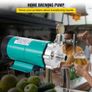 Magnetic Beer Pump with Food MP-15RP Grade Well Pump Stainless Steel Head Magnetic Drive Brewing Image 6