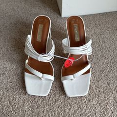 shoe