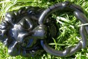 Vintage Lions Head Door Knocker Cast Iron Antique