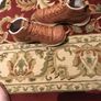 Skechers Shoes size EU-38, UK-5 Image 4