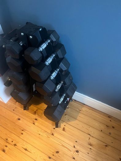 dumbells, rack and bench