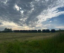Haylage