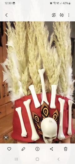 Halloween/fancy dress costume