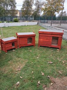 dog kennels