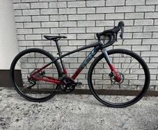 Trek Domane AL 5 Gen 3 Disc 44cm frame