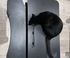 VIVO Standing Desk Converter