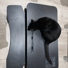 VIVO Standing Desk Converter