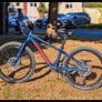 Orbea MX 20 Team disc Image 5