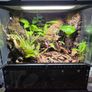 Complete Bio Active Terrarium Image 2