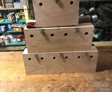ferret carrier boxes