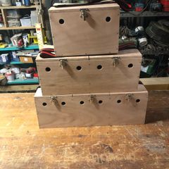 ferret carrier boxes