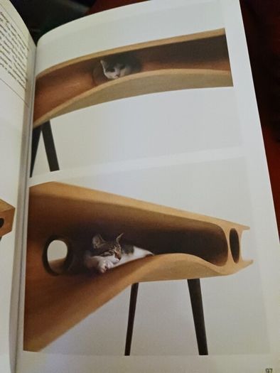 Pet- tecture Design for pets 2018