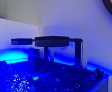 Reefled 90