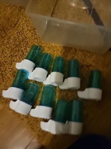 Bird water and food feeders