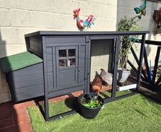 Chicken coop & 2 chickens