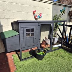 Chicken coop & 2 chickens