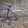 trek 7100fx Image 3