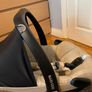 Stroller and carrier Image 4
