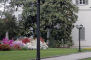 Garden lights Triple Lantern Lamp Posts 2.4 Meter High