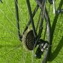 Trek Hybrid Bike  24 Frame  Shimano Gears  Goo Image 3