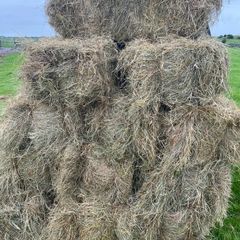 Square bales hay