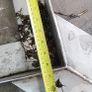 Stainless Steel Trolley Heavy Duty Image 6