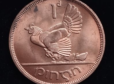 Ireland - 1968 - 1 Penny - Hen with Chicks - UNC - KM.11 - [276]