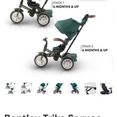 Bentley Trike - spruce green