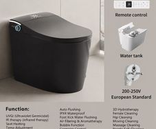 Smart Toilet all in one WC Toilet Bidet