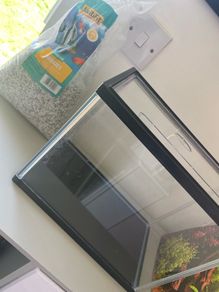 Fish tank and stones