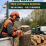 Tree removal Image 2