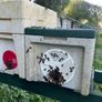 Native AMM bees, including poly nuc and feeder Image 3