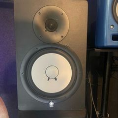 Yamaha Hs80 (pair)