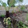 Soft landscaping services North Dublin Image 10