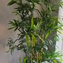Large Artificial Bamboo Tree Plant pot Image 2